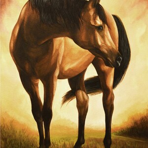 Fine Art Print &quot;Sharif&quot;