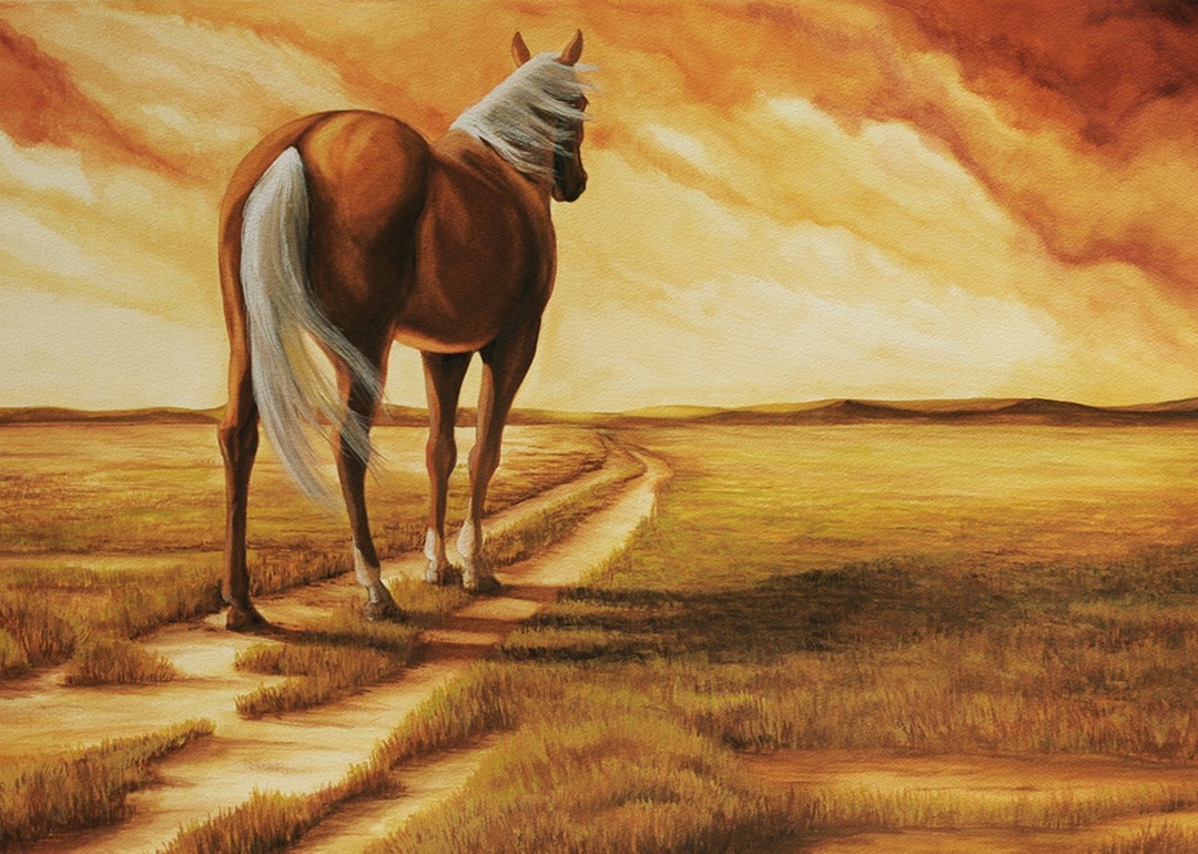 Fine Art Print 