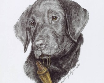 Könnte beinhalten: Ein schwarzer Labrador Retriever-Welpe mit einem ernsten Ausdruck, der ein braunes Lederhalsband mit einer daran befestigten Messingpfeife trägt. Der Welpe schaut direkt auf den Betrachter.