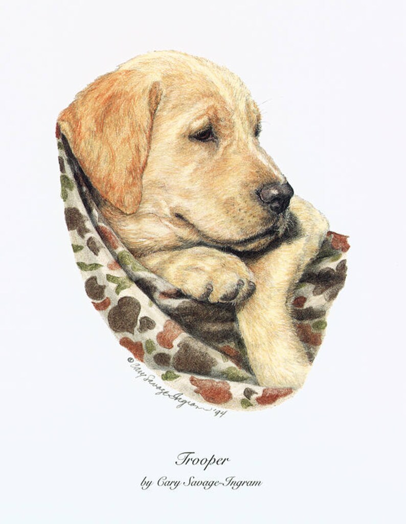 K&ouml;nnte beinhalten: Ein Aquarellbild eines gelben Labrador-Welpen, der sich in eine Decke mit Tarnmuster gekuschelt hat. Der Welpe schaut zur Seite, den Kopf auf seinen Pfoten ruhend. Das Bild tr&auml;gt den Titel "Trooper" von Cary Savage-Ingram.
