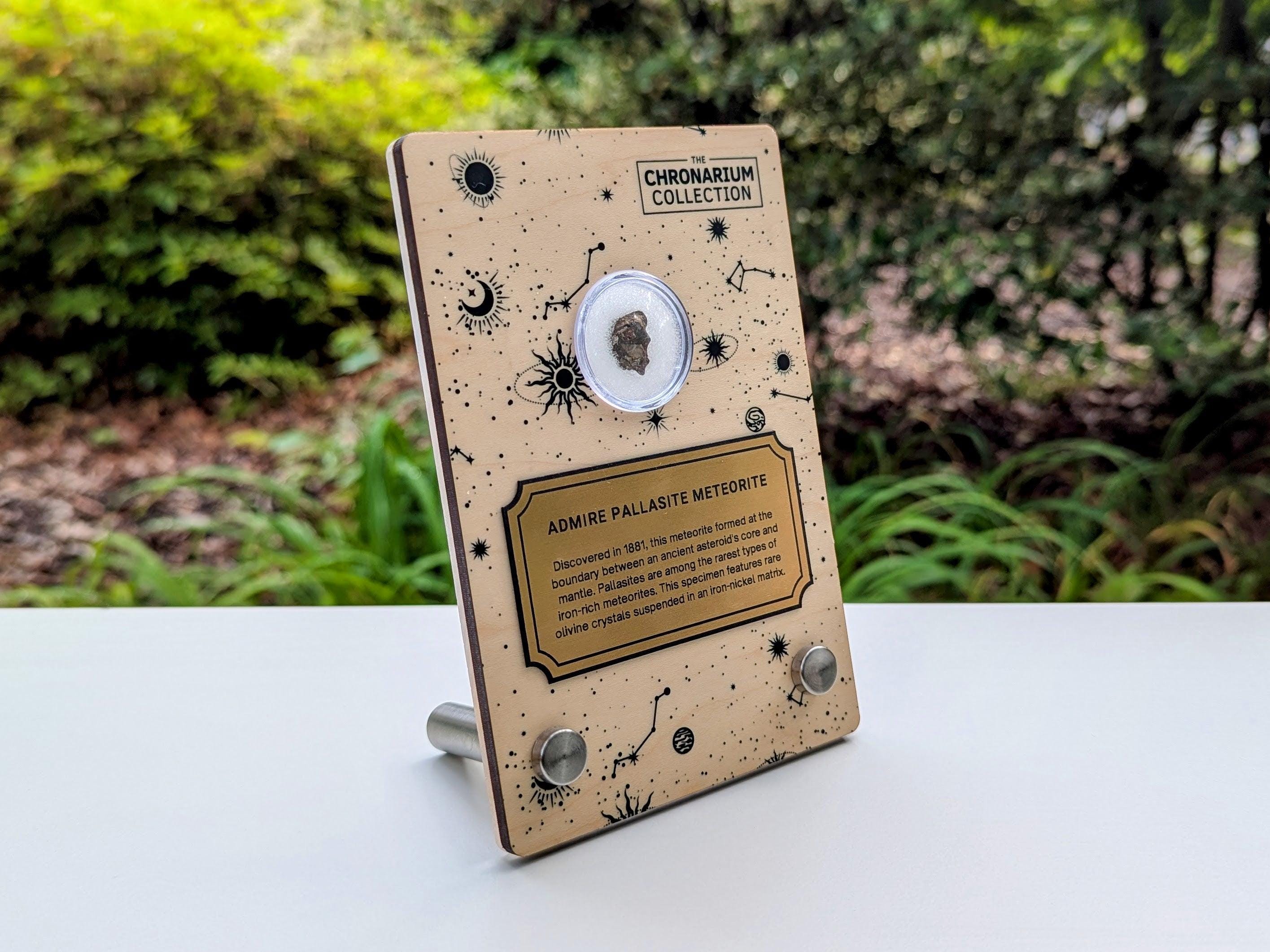 Admire Pallasite Meteorite With Museum Quality Display