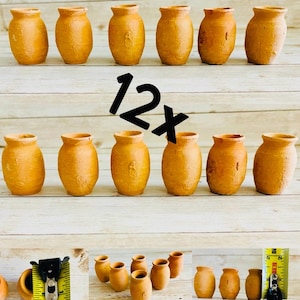 May include: Twelve small, unglazed terracotta pots arranged in two rows. The pots have a rounded body and a slightly flared rim. The text "12x" is superimposed on the image. The pots are displayed on a light-colored wooden surface.