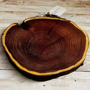 Artisan Handmade Mesquite Wood Board for Cutting Cheese or Charcuterie Board Tabla para Cortar Mexicana