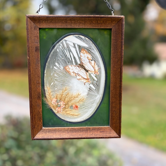 Vintage Stained Glass Suncatcher: Common Mapwing Butterfly, Walnut Wood Frame
