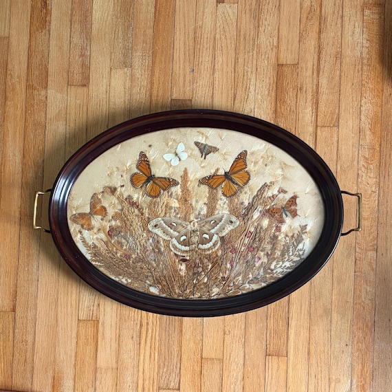 Vintage Butterflies with Dried Flowers Glass and Wood Tray | Entomology Butterfly Decor