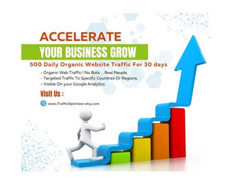 Plan Plata: 500 visitas diarias a su sitio web durante 30 días