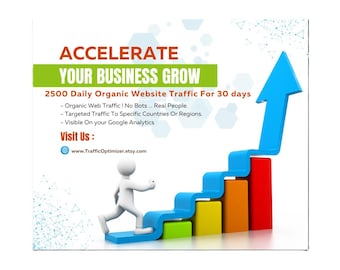 Plan Diamante: 2500 visitas diarias a su sitio web durante 30 días