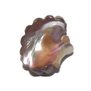 Antiker Knopf ~ Realistischer Muschelförmiger Abalone Perlmutt Knopf