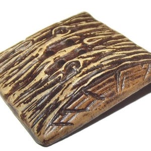 Vintage Button ~  Large Realistic Burwood Slab of Wood Button