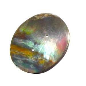 Op de afbeelding: Ovale iriserende schelp met twee kleine gaatjes. De schelp vertoont een mix van kleuren, waaronder groen, goud, roze en bruin, met een parelmoerglans. Het oppervlak is glad en gepolijst.