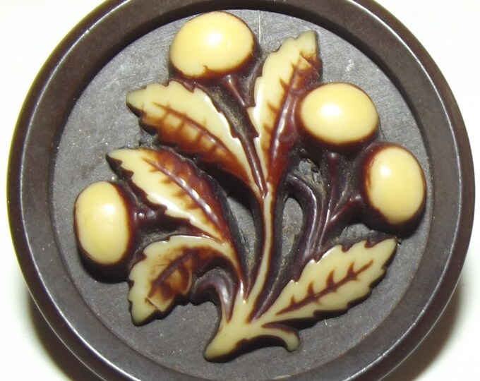 Antique Button Gutta Percha Button W/ Ivoroid Leaf & Berry Escutcheon