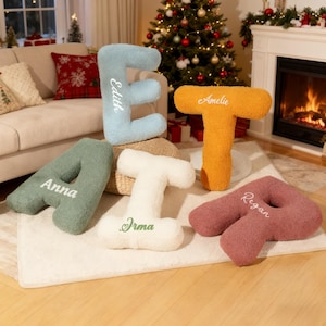 May include: A collection of plush, letter-shaped pillows in various colors: light blue, orange, green, white, and mauve. Each pillow has a name embroidered on it: Edith, Amelie, Anna, Irma, and Regan. The pillows are arranged on a rug in a living room setting.
