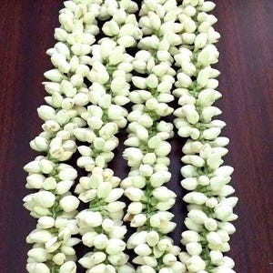 Corde di gelsomino