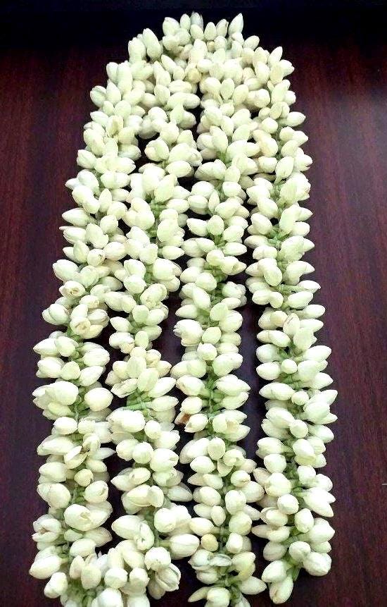 Jasmine strings