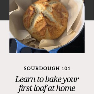 Sourdough baking eBook download with everything you need to start baking from scratch. Includes starter tips, timelines, and simple wholesome recipes using real ingredients.
