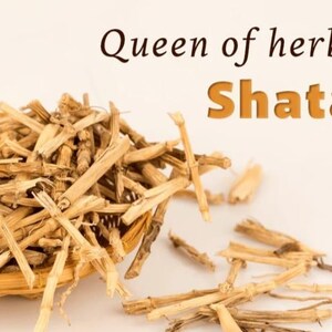 K&ouml;nnte beinhalten: Nahaufnahme von Shatavari, einem traditionellen Kraut, das in einem geflochtenen Korb pr&auml;sentiert wird. Das Bild zeigt den Text "Queen of herbs Shatavari" in einer warmen Farbpalette. Das getrocknete, beige gef&auml;rbte Kraut ist der Fokus.