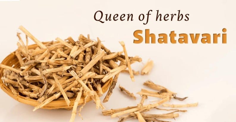 K&ouml;nnte beinhalten: Nahaufnahme von Shatavari, einem traditionellen Kraut, das in einem geflochtenen Korb pr&auml;sentiert wird. Das Bild zeigt den Text "Queen of herbs Shatavari" in einer warmen Farbpalette. Das getrocknete, beige gef&auml;rbte Kraut ist der Fokus.