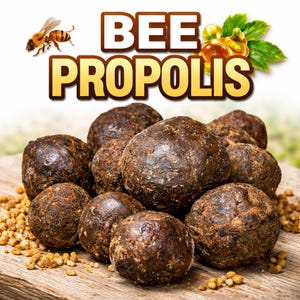 Puede incluir: Imagen de primer plano de varias piezas redondas de propóleo de abeja de color marrón oscuro. El texto "BEE PROPOLIS" se muestra en oro. También hay un gráfico de una abeja y panales con hojas. El propóleo está sobre una superficie de madera.