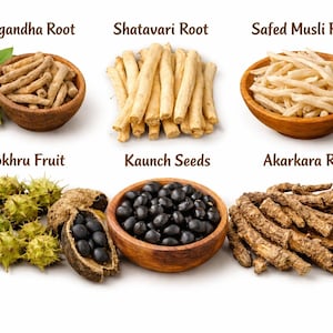 May include: An image showcasing six different types of herbs and roots. The image includes Ashwagandha Root, Shatavari Root, Safed Musli Root, Gokru Fruit, Kaunch Seeds, and Akarkara Root. Each is displayed in a wooden bowl or on a white background.