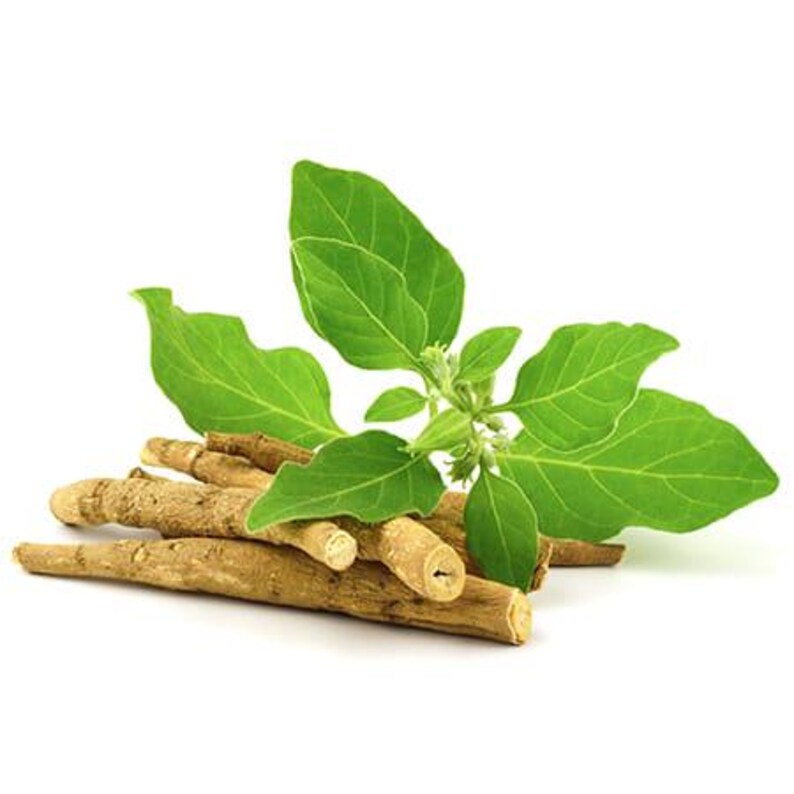 May include: A close-up of ashwagandha roots and leaves. The image shows several light brown, cylindrical roots with a bundle of bright green leaves and small white flowers. The background is plain white.