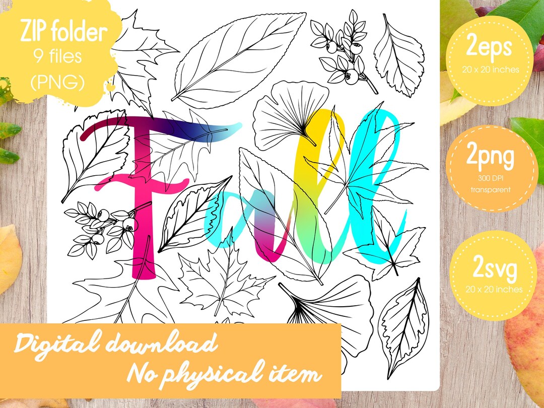 Autumn Leaves Line Art Clipart Bundle: Botanical Vector PNG SVG EPS - Etsy