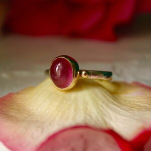 May include: A gold ring with a pink gemstone set in a bezel setting. The ring is resting on a white and pink rose petal.