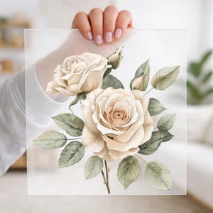 May include: A square, semi-transparent sheet featuring a detailed illustration of two large, pale cream-colored roses with soft brown centers, accompanied by several muted green leaves and two small, unopened rosebuds on thin stems.