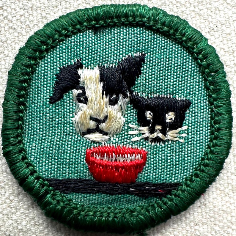 May include: Embroidered patch featuring a dog and cat with a red bowl. The dog has black and white markings, and the cat is black. The patch has a green border and is on a green fabric background.