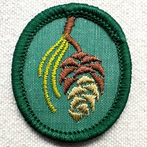 May include: Oval-shaped embroidered patch with a green border and a green background. The patch features a brown branch with a brown pinecone and yellow-green needles. The patch is likely for a scout or outdoor activity.