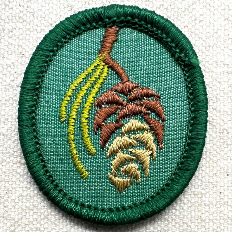 May include: Oval-shaped embroidered patch with a green border and a green background. The patch features a brown branch with a brown pinecone and yellow-green needles. The patch is likely for a scout or outdoor activity.