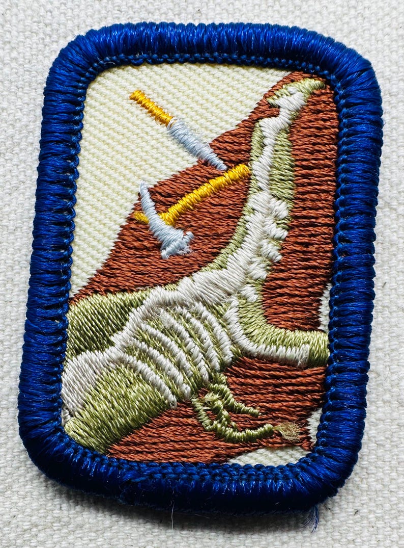 May include: Embroidered patch with a blue border. The patch features a design of a mountain with two pickaxes. The mountain is brown and green, with white and yellow accents. The background is off-white.