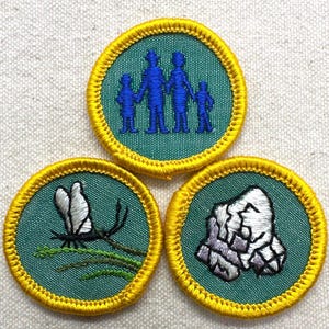 May include: Three embroidered patches with a teal background and gold trim. One patch features a blue family silhouette, another a dragonfly, and the third a rock formation. These patches are likely for a youth organization.