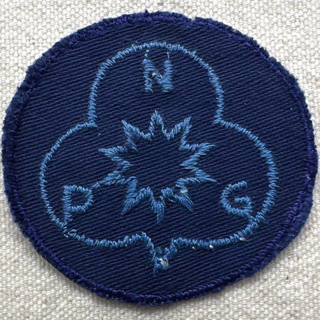 Vintage 1980s Girl Guides Patch: Netherlands - Etsy