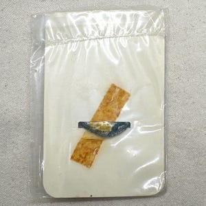 May include: A small, blue and gold pin, sealed in a clear plastic bag, is affixed to a cream-colored card with a piece of tan tape. The pin has a detailed design and is likely a collectible or decorative item.