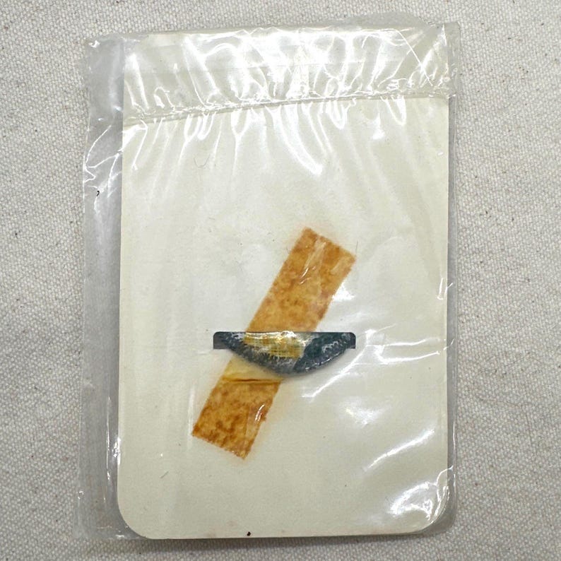 May include: A small, blue and gold pin, sealed in a clear plastic bag, is affixed to a cream-colored card with a piece of tan tape. The pin has a detailed design and is likely a collectible or decorative item.