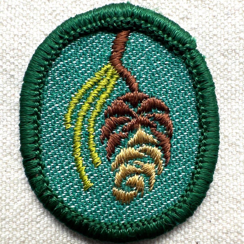 May include: Embroidered patch with a green oval border. The patch features a detailed design of a brown pinecone with yellow and brown foliage against a teal background. The patch is likely for a scout or outdoor activity.