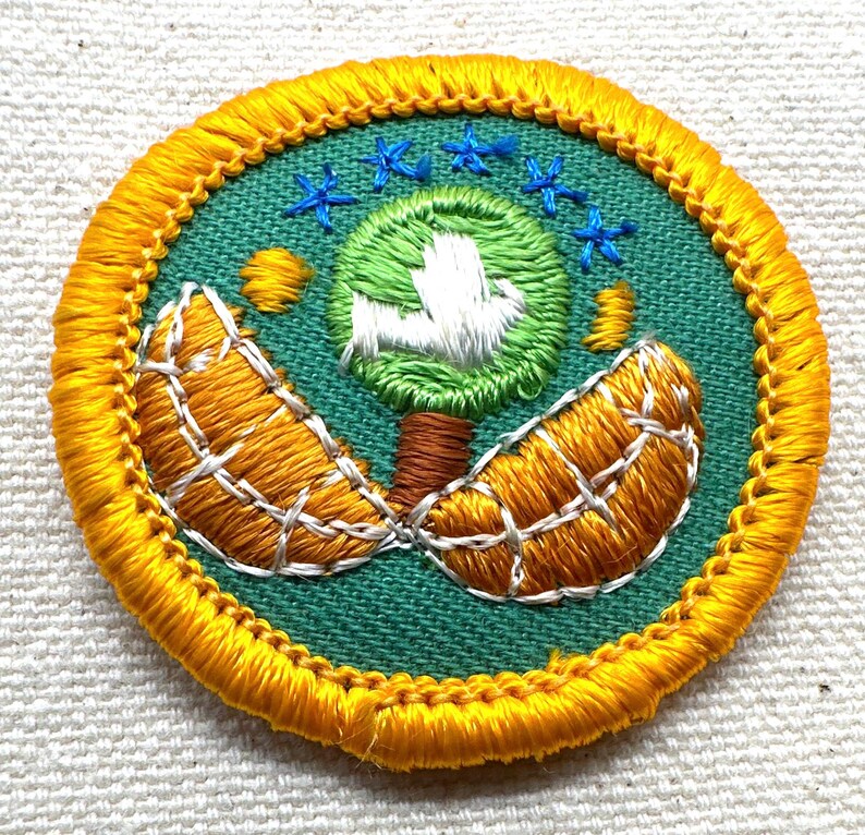 Vintage 1980-1999 Girl Scout Badges: RETIRED Junior Proficiency/merit ...