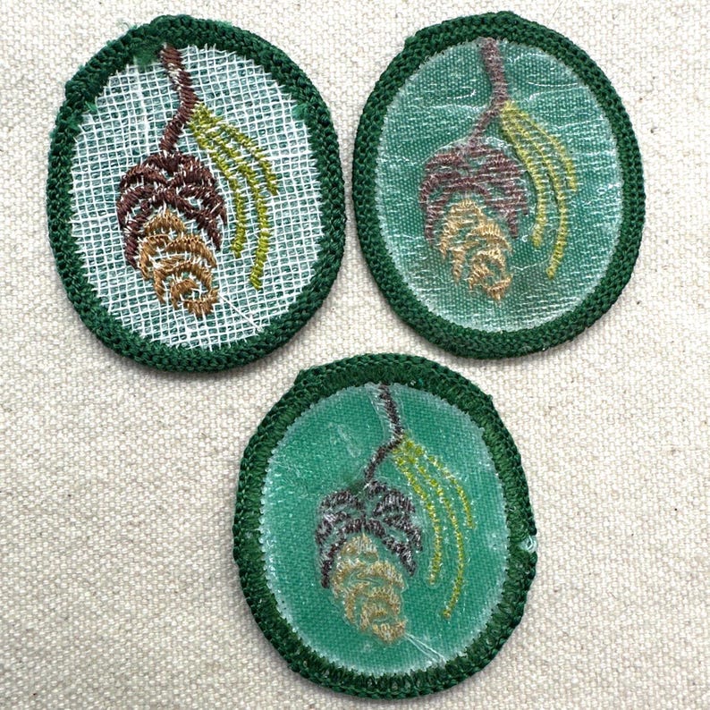 May include: Three embroidered patches with a green border and a central design of a pine cone and foliage. The pine cones are brown and tan, with green and yellow accents. The patches are circular and set against a neutral background.