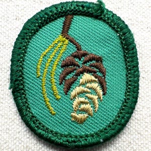 May include: Embroidered patch featuring a green oval border and a teal background. The design includes a brown branch with a pinecone and yellow accents. The patch is likely for a scout or outdoor activity.