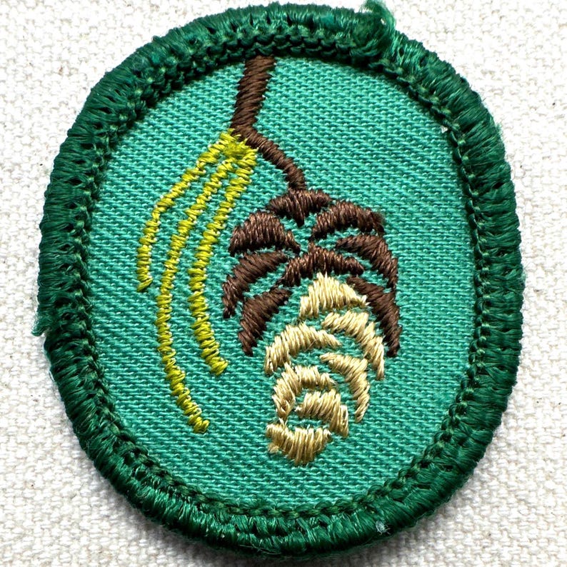 May include: Embroidered patch featuring a green oval border and a teal background. The design includes a brown branch with a pinecone and yellow accents. The patch is likely for a scout or outdoor activity.