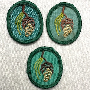 May include: Three oval-shaped patches with a green border and a teal background. Each patch features an embroidered design of a brown pinecone with yellow needles. The patches are likely for a scout or similar organization.