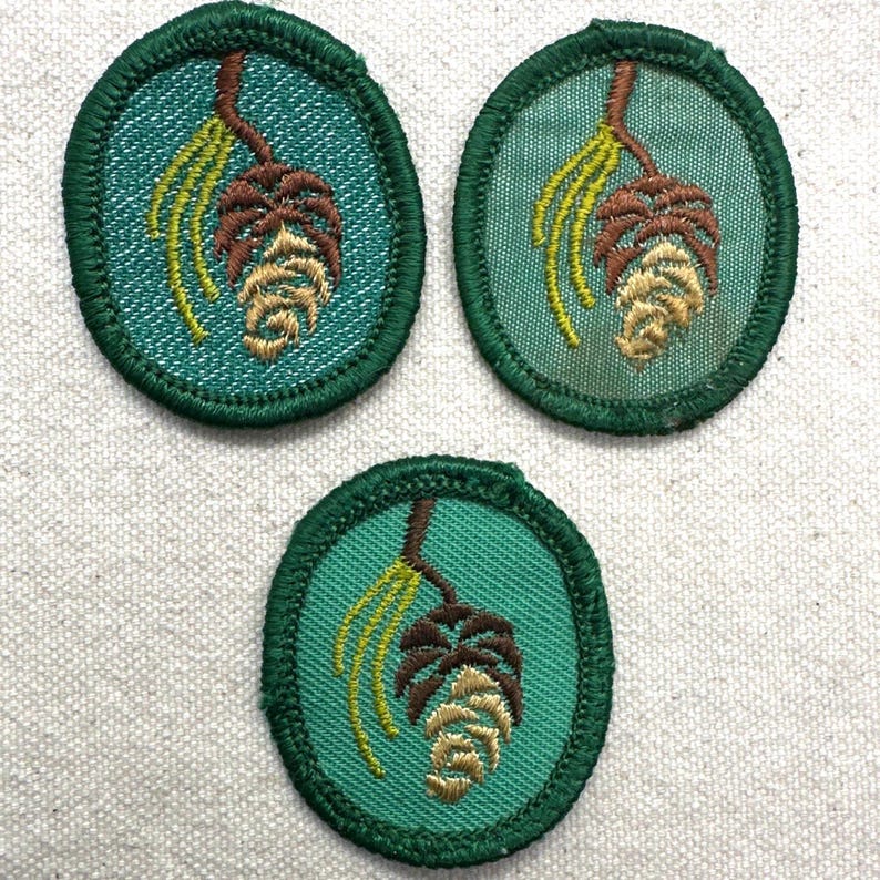 May include: Three oval-shaped patches with a green border and a teal background. Each patch features an embroidered design of a brown pinecone with yellow needles. The patches are likely for a scout or similar organization.