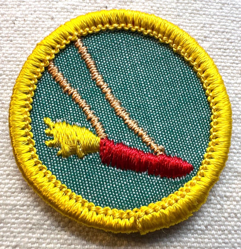 May include: Embroidered patch featuring a swing set design. The swing seat is red, the ropes are tan, and the frame is yellow. The patch has a yellow border and is set against a green background.