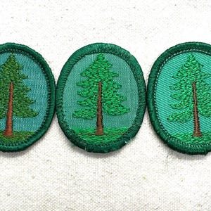 May include: Three oval-shaped patches with a green tree design. The tree has a brown trunk and green foliage, set against a teal background. Each patch is bordered with green stitching, and the patches are arranged horizontally.