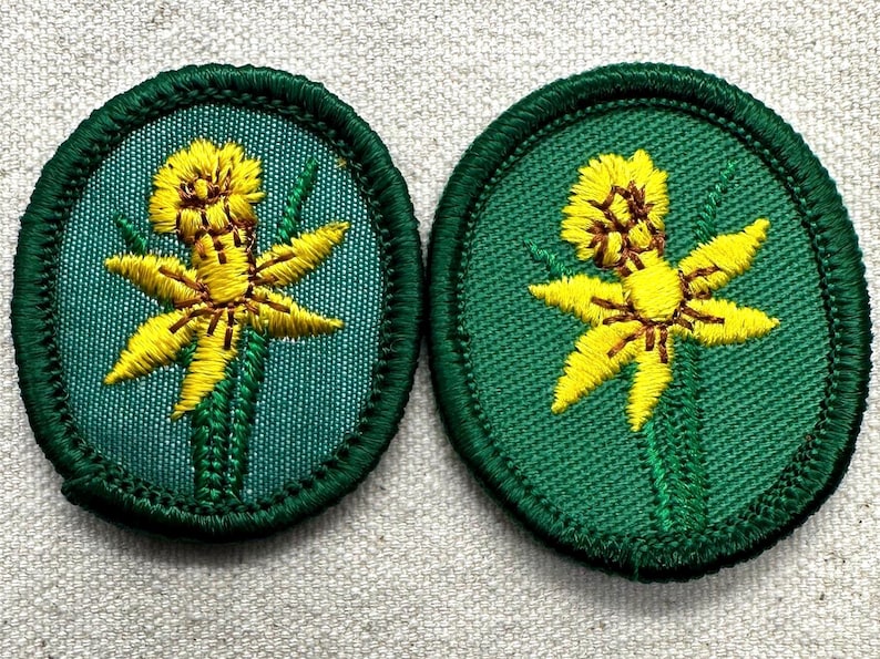K&ouml;nnte beinhalten: Zwei gestickte Aufn&auml;her mit einem gelben Narzissen-Design auf gr&uuml;nem Hintergrund. Die Narzisse hat eine detaillierte Mitte und sechs Bl&uuml;tenbl&auml;tter. Die ovalen Aufn&auml;her haben einen dunkelgr&uuml;nen Rand und sind f&uuml;r Kleidung oder Bastelarbeiten gedacht.