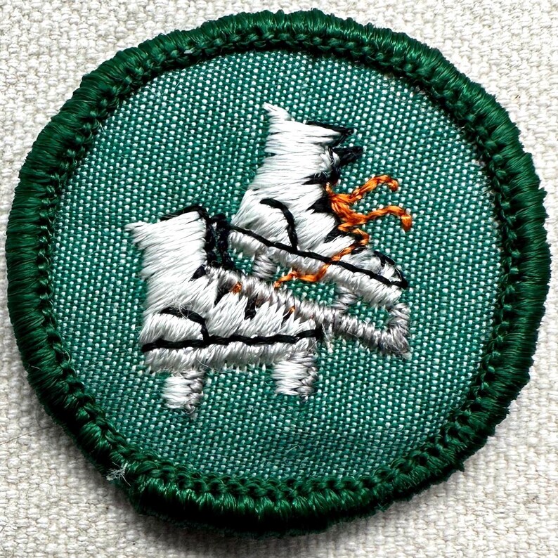 Puede incluir: Parche bordado con un borde verde y un fondo verde azulado. El parche presenta un dise&ntilde;o blanco y gris de un animal estilizado con detalles en naranja. Probablemente para una organizaci&oacute;n de scouts o similar.
