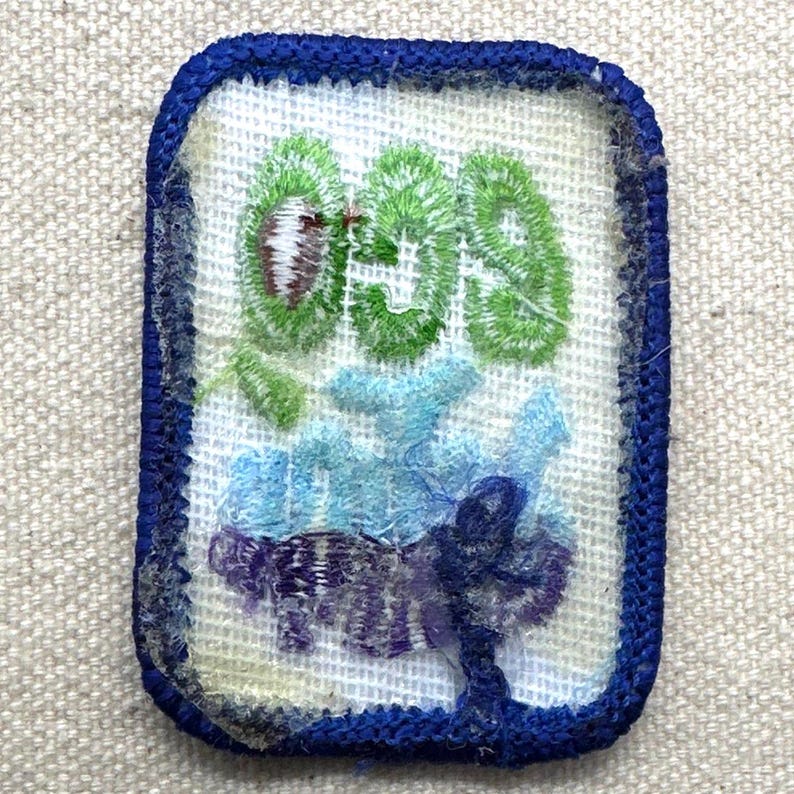May include: Embroidered patch with a white background, featuring green, blue, and purple floral design and the number "009" in green. The patch has a blue border.