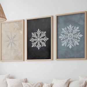 Puede incluir: Tres obras de arte enmarcadas con diseños de copos de nieve. La obra de arte tiene una paleta de colores neutros con fondos beige, negro y azul. Cada copo de nieve es blanco y detallado, enmarcado en madera. El arte se exhibe sobre un banco con cojines.