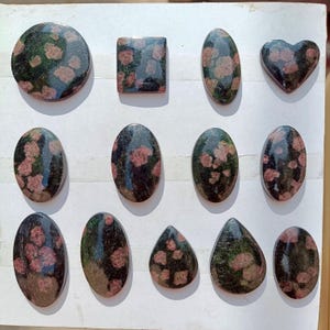 Può includere: Una collezione di dodici cabochon lucidati con una base nera scura e inclusioni sparse di colore rosa e verde simili a fiori. Le pietre sono modellate in cerchi, quadrati, ovali, cuori e gocce, tutte caratterizzate da una finitura liscia e lucida.