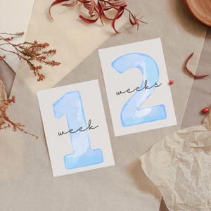 Watercolor Baby Milestone Cards | Blue Milestone Cards | Printable Monthly Photo Props | Newborn Keepsake | Digital Download | Baby Boy Card